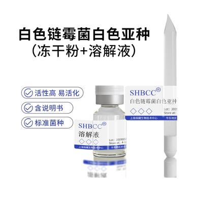 包邮冻干粉白色链霉菌白色亚种 SHBCC 菌种斜面试管甘油菌任选
