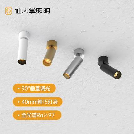 仙人掌照明迷你明装40mm小筒射灯可调角度led吸顶式不锈钢天花灯