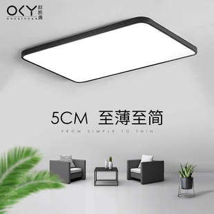简约现代大气灯具长方形大厅大灯家用led吸顶灯 客厅灯2021年新款