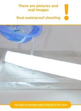 220V低压Dc24交直流36V超亮冷库户外一体式IP65防水灯