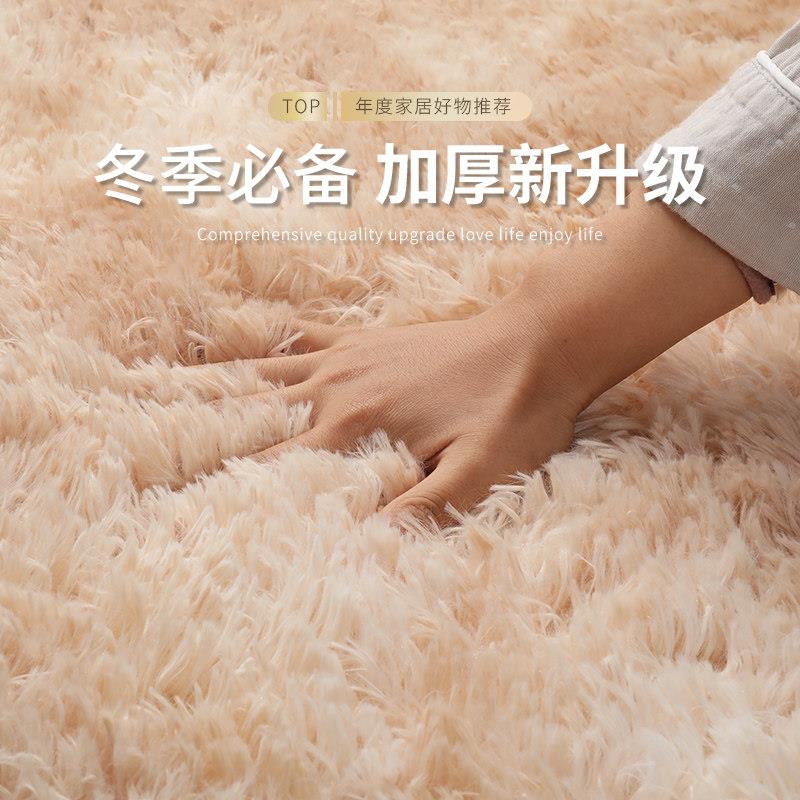 地毯客厅卧室免洗2025新款床边毯毛毯全铺地垫沙发茶几毯房间加厚