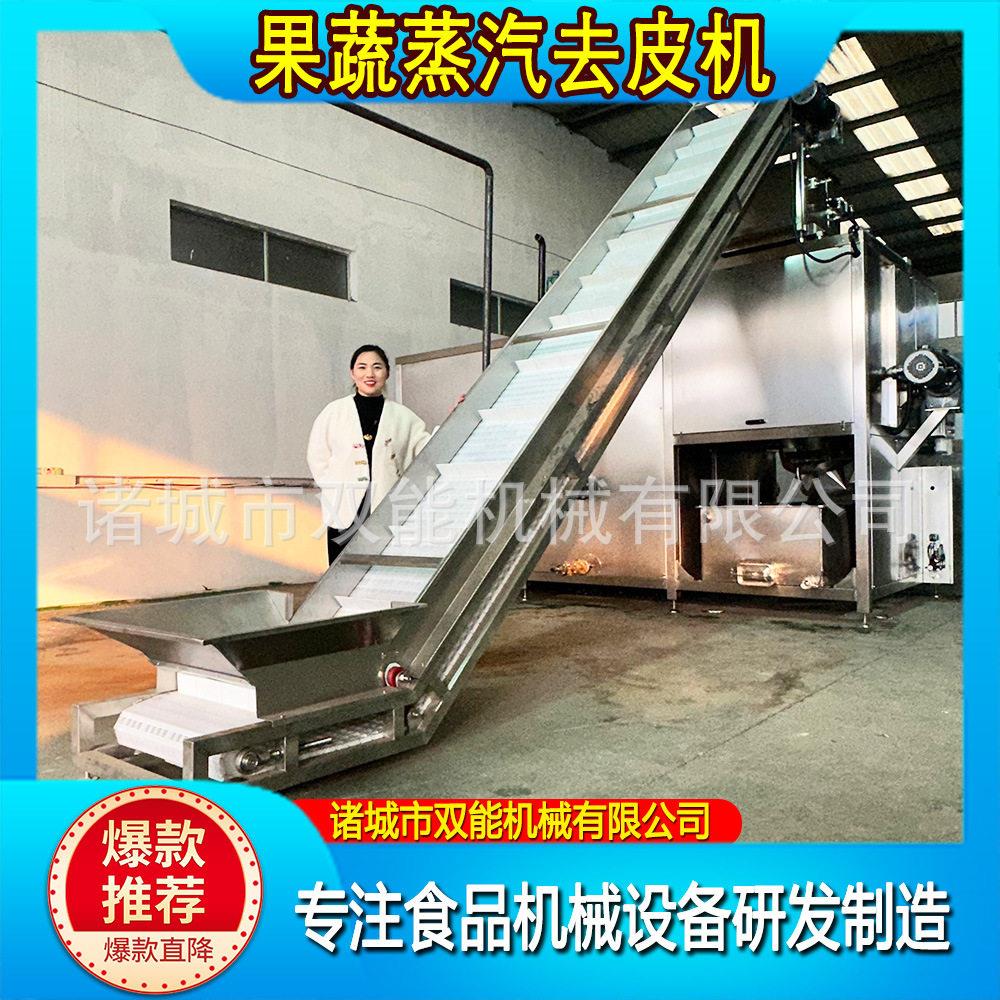 土豆蒸汽去皮机葡萄商用蒸汽去皮机全自动果蔬山去皮机