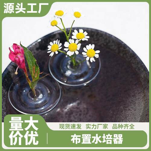 Trendy flower vases, flower pots, and flower bottles for liv