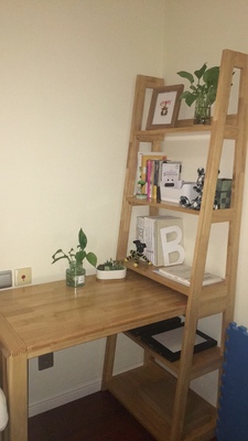 体验辰帆博雅书架怎么样，是真全实木吗？质量好不好呢？