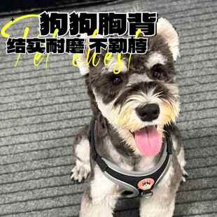 背心式小型犬遛狗绳比熊泰迪柴犬胸背带幼犬宠物狗链子狗狗牵引绳