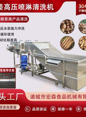丽参去泥清洗机姜不辣清洗机商用大型连续式压喷淋材清洗机