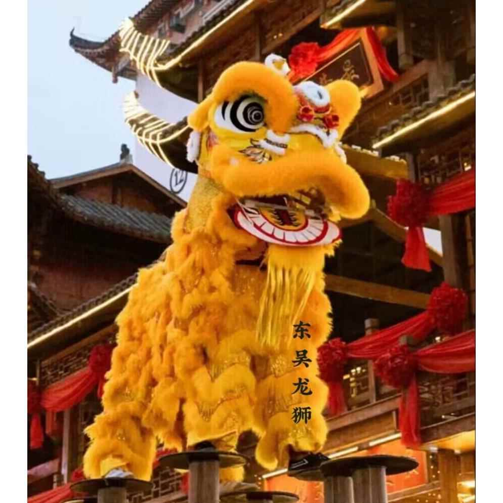 舞狮道具全套南狮醒狮成人舞龙舞狮双人羊毛狮子婚庆龙狮狮子头