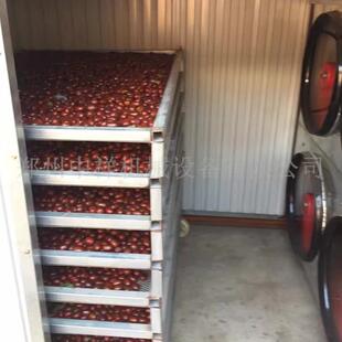 食品烘干设备 不锈钢烘盘 桑蚕茧春蚕烘干机蚕蛹干燥箱热泵烘干房