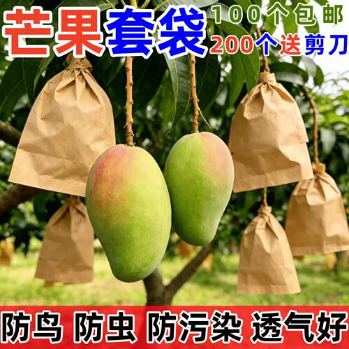 芒果专用套袋枇杷袋子水果袋防鸟纸袋防虫牛皮纸双层防水保护