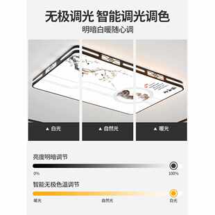 2024新款 主客厅大灯 智能型LED吸顶灯简约现代卧室灯中山灯具大气
