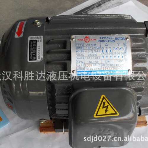 CHYUNTSEH群策电机SY马达C02-43BO.CB2-43BO.C15-43BO 空心轴0.75