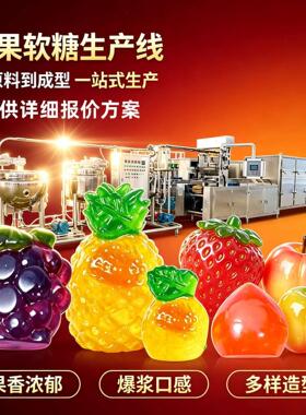 4d立体水果软糖生产线设备定制全套软糖浇注机维生素软糖生产线用