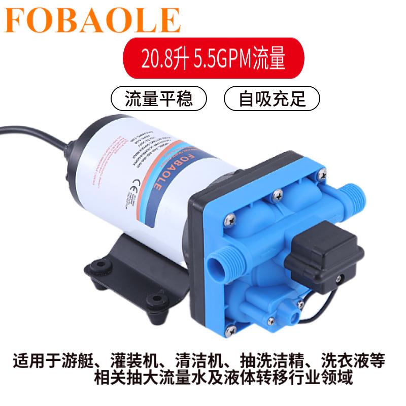 110V交流5.5GPM大流量电动隔膜泵220V灌溉增压园林喷雾自吸抽水泵