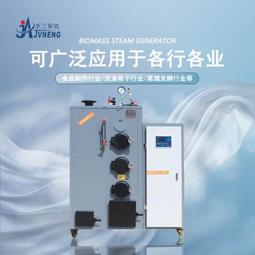 浙能江聚1生0公斤生物质环保颗粒蒸0汽LSW0.1-0发器水产养殖菌菇