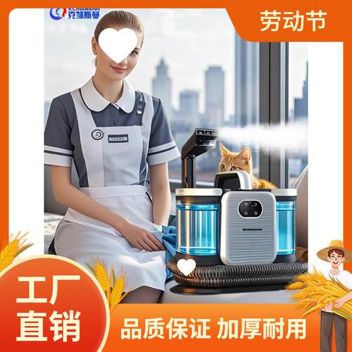 KLINSMANN高温蒸汽热水布艺机地毯沙发清洗家用商用多功能机曼