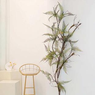 下水道遮挡波斯室内装饰枯藤管仿真蕨类造景藤蔓墙叶苔藓植物景观