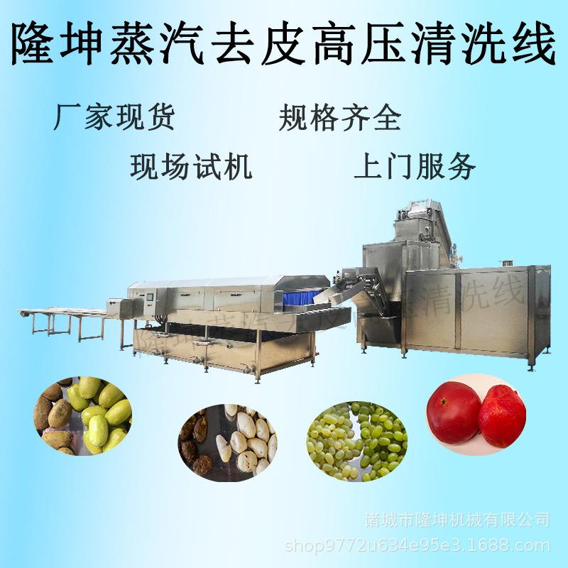 大型大枣冬枣蒸汽去皮机 荔浦芋头全自动削皮机 土豆猕猴桃脱皮机