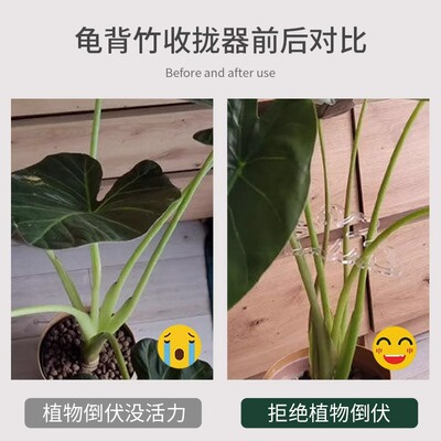 龟背支撑倒伏春雨园艺用品套装