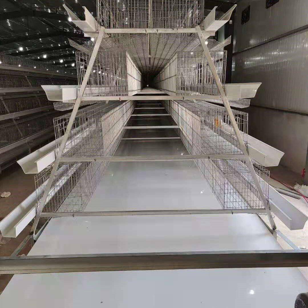 景辉4层梯形蛋鸡笼全自动清粪捡蛋鸡笼养殖设备大棚温室用禽畜笼