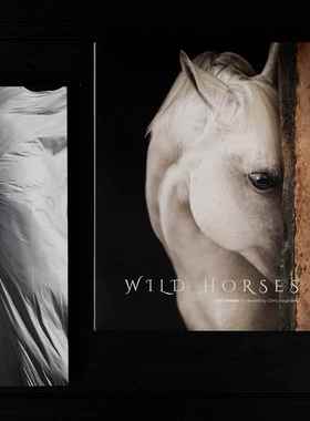 马装饰真正的书装饰品样板房售楼处书咖啡桌客厅摄影道具黑白中国