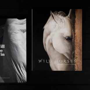 饰品样板房售楼处书咖啡桌客厅摄影道具黑白中国 书装 马装 饰真正