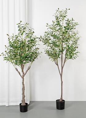 客S榄8N植物橄树盆栽居厅室ZOB内落地大型绿植橱窗商场家装饰假