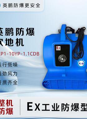 英鹏(GYPEX)防爆吹地机EXP1-10YP-1.1CDB大功率化工厂工业车间