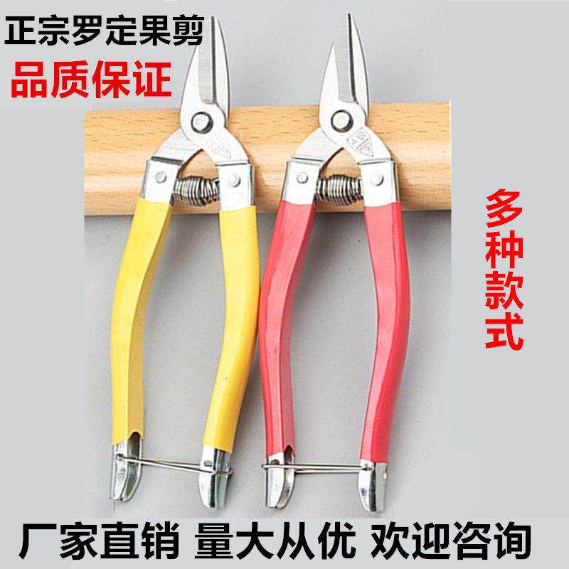 罗定采果剪摘果剪采柑桔橘小大黄剪直头荔枝龙眼琵琶蔬果不锈钢剪