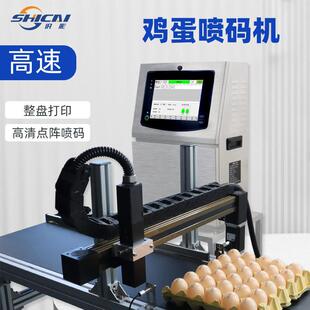 识彩连续式小字符鸡蛋鸭蛋喷码机高附着力蛋品高清打码机激光标