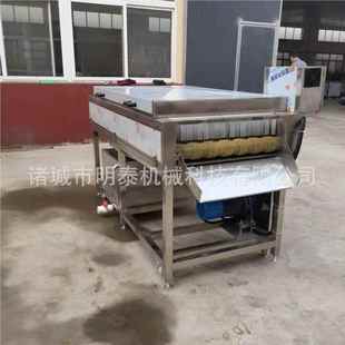 大型大姜平行644毛设辊红清洗机 子沃柑清洗打 干枣鲜枣清洗柚备