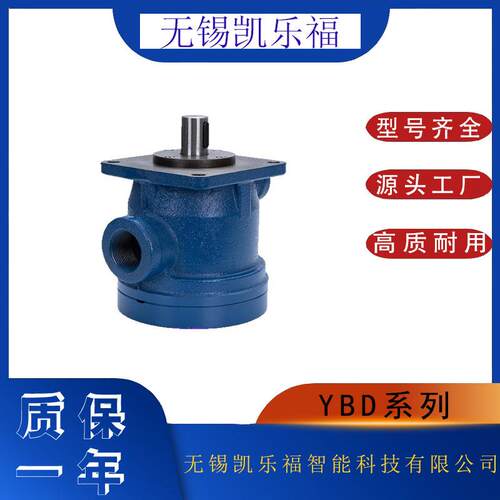 叶片泵YB-D100注塑机油泵 切削机床油泵