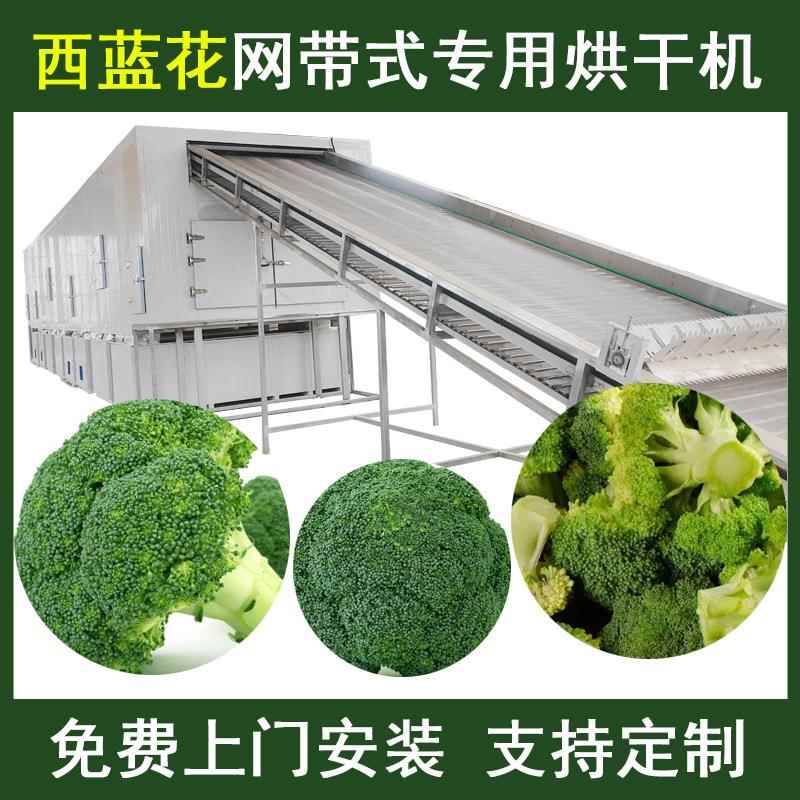 西兰花烘干机空气能热泵花菜花椰菜烘干机大型菜花脱水干燥设备
