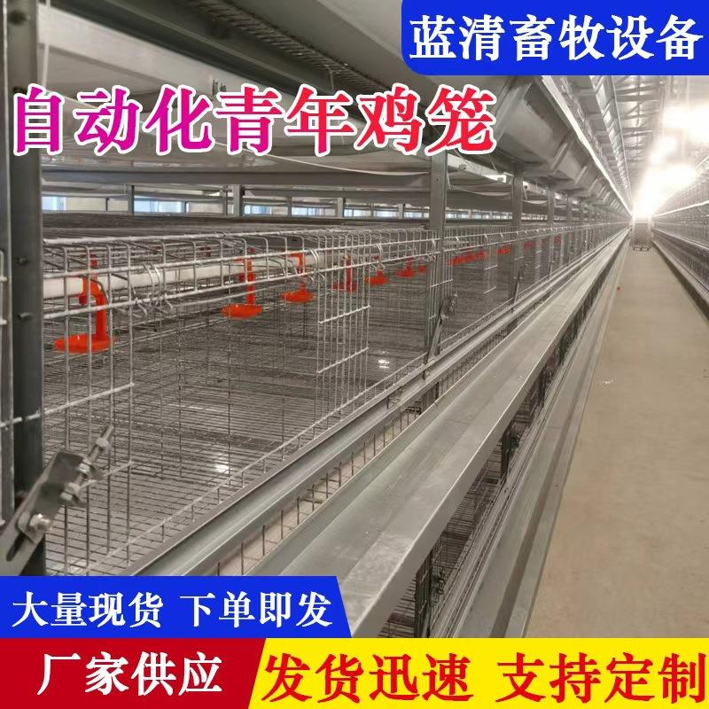 立体式青年鸡笼多层阶梯式蛋鸡笼加粗镀锌工艺养殖设备四层育鸡笼