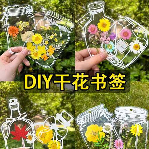 Dried flower bookmarks, pressed flower DIY materials, transp