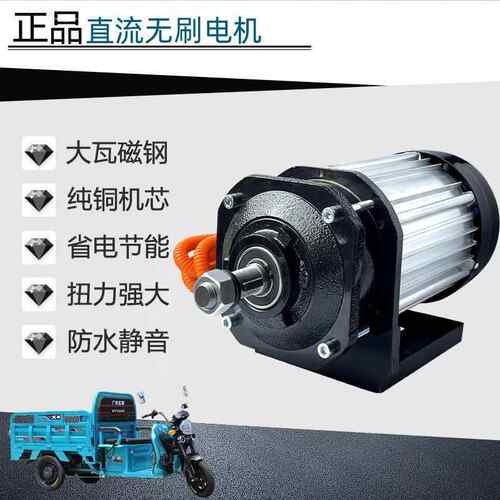 电动三轮车电机功率减速永磁无刷中置电机马达48v6动00v7大2v9331