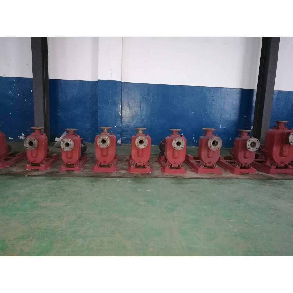 铸铁材质50ZW20-12自吸排污泵