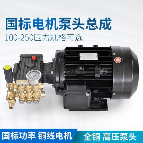 高压清洗机电机加泵头220V/380V商用洗车柱塞泵出口喷淋造雾增压