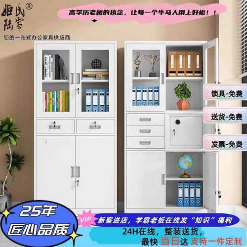 中二斗铁皮文件柜办公室资料档案柜抽屉带锁财务凭证柜多层书柜