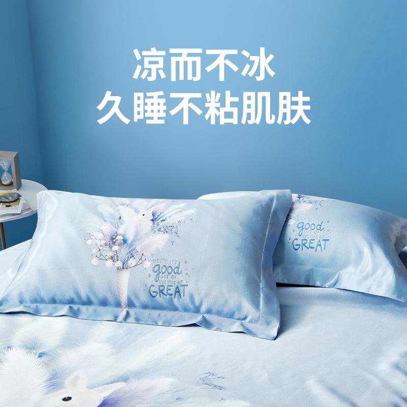 源头工厂夏季可水洗冰丝床单三件套家用印花冰丝枕头套一对装