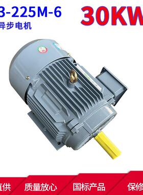 YE3系列三相异步电动机YE3-225M-6 30KW 6极三相异步电机马达本速