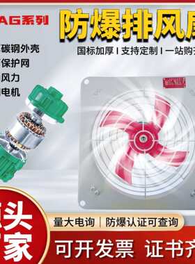 纯铜机芯防爆排风扇BFAG壁式防爆排风机工业排烟方形防尘防腐壁式