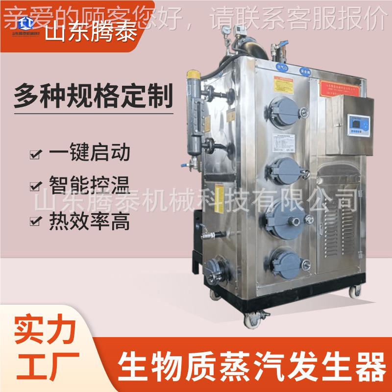 泰腾生物质颗TT-SW100粒汽发不生器商用锈钢蒸汽锅炉全自动多燃料