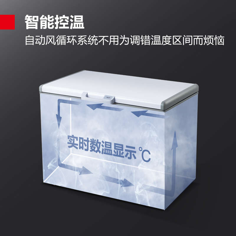 德玛仕DEMASHI卧式冰柜商用大容量家用保鲜厨房冰箱超市顶开