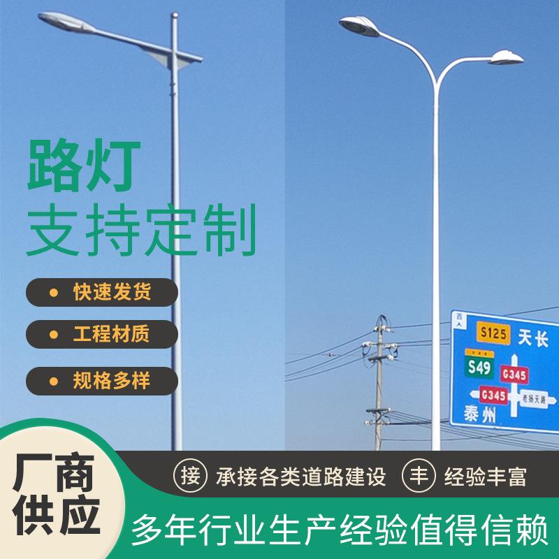 LED路灯道路灯户外防水双连杆路灯市电工程双臂灯综合共杆