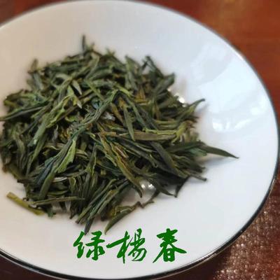 扬州绿杨春新茶仪征捺山绿扬春特产绿阳春绿茶叶乡味高邮优选杨春