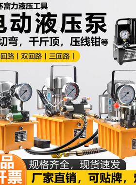 电动液压帮浦220v可携式迷你泵站CTE2-25BS/QQ-700超高压电动油泵