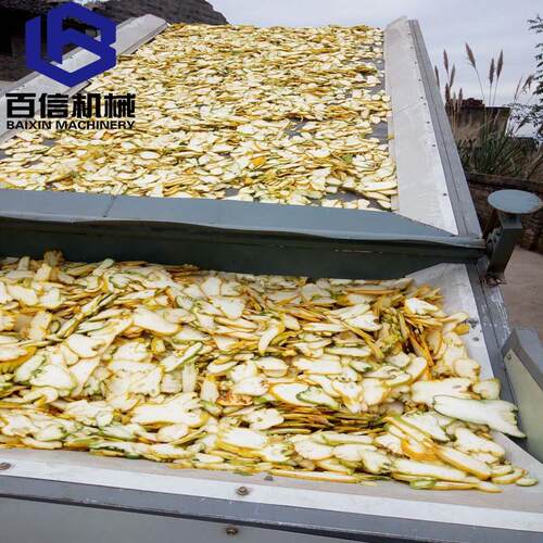 姜片烘干机网带连续式姜片干燥机生姜清洗切片烘干设备