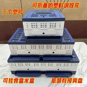 启航训放笼可折叠塑料放飞笼训放笼可挂食盒水盒鸽笼防老化鸽子笼
