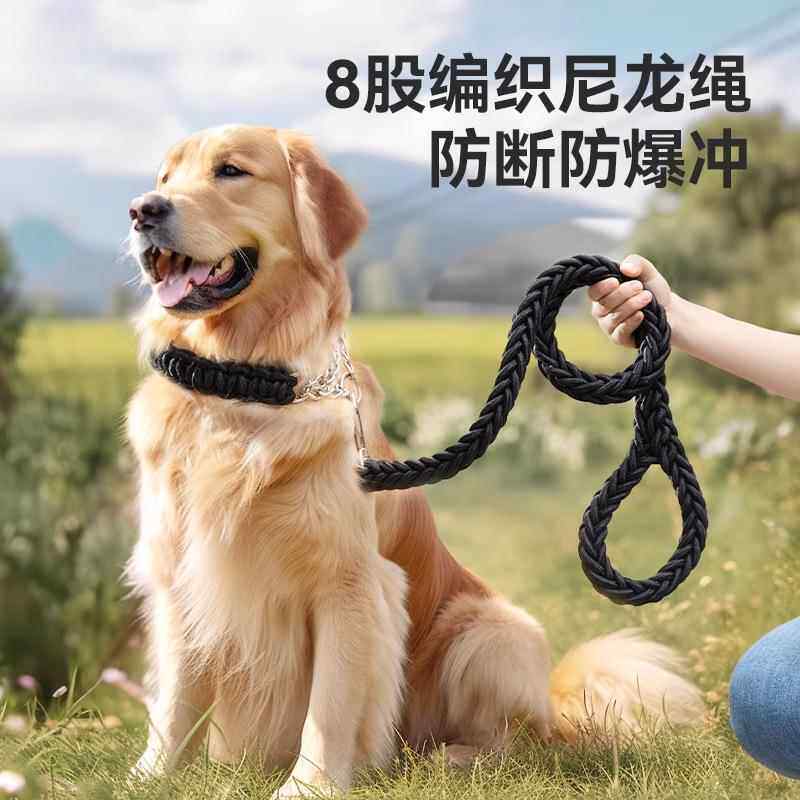 狗狗牵引绳中型大型犬金毛狗绳子拉布拉多狗链子狗脖圈狗项圈狗绳