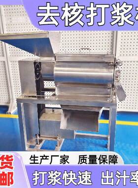 煮熟大枣红枣去核去皮打泥机 大枣去核打浆机 打枣泥设备